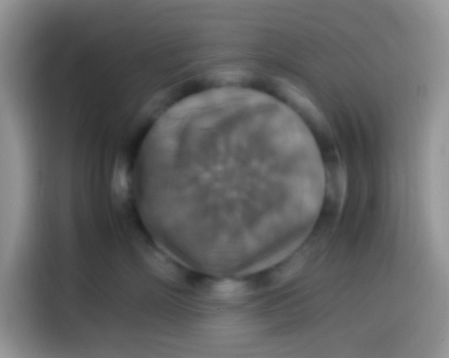 X0000113780718200910141038