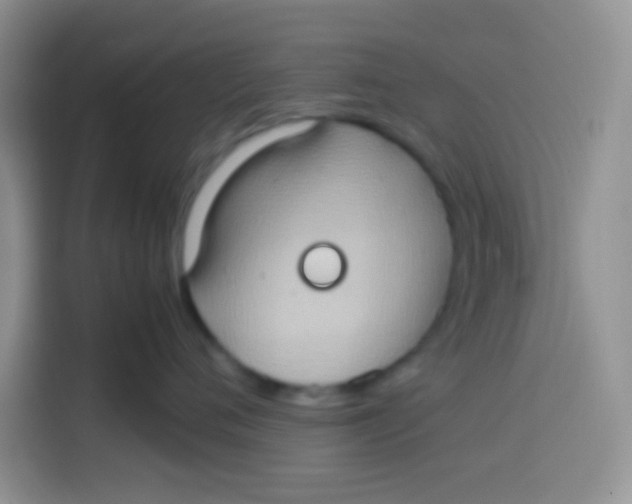 X0000113780720200910141038