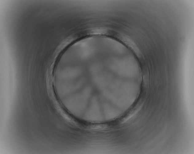 X0000113780721200910141038