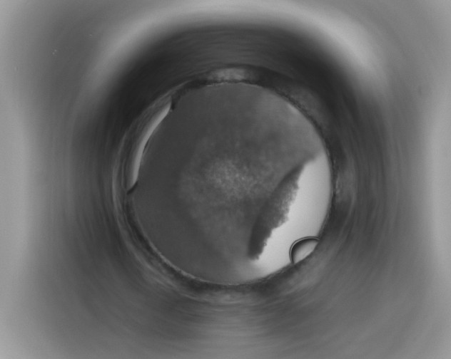 X0000113780722200910141038