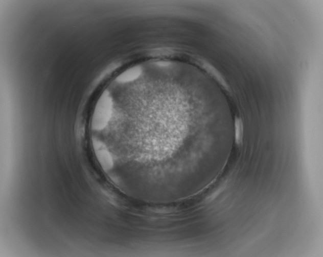 X0000113780723200910141038