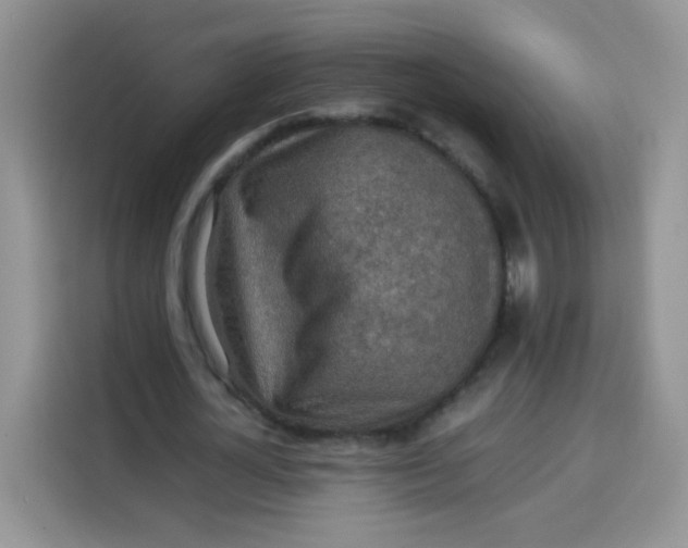 X0000113780724200910141038