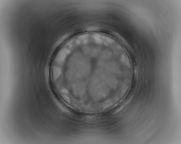 X0000113780725200910141038