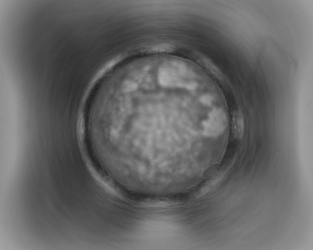 X0000113780726200910141038