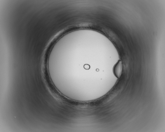 X0000113780728200910141038