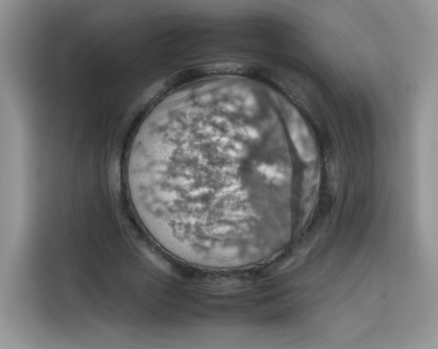 X0000113780729200910141038