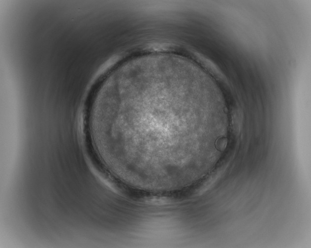 X0000113780730200910141038