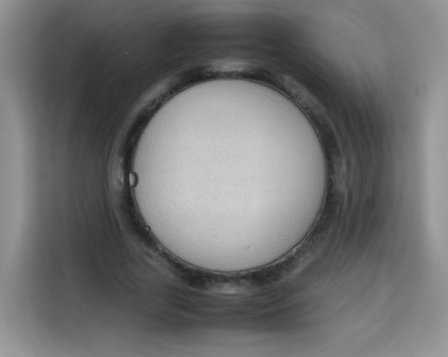 X0000113780731200910141038