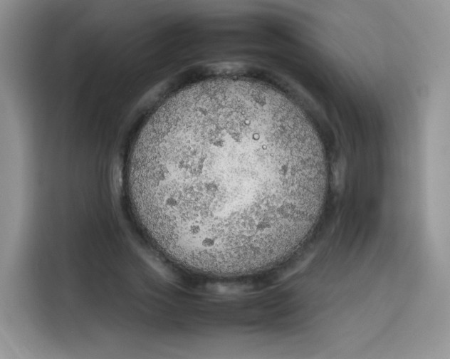 X0000113780733200910141038