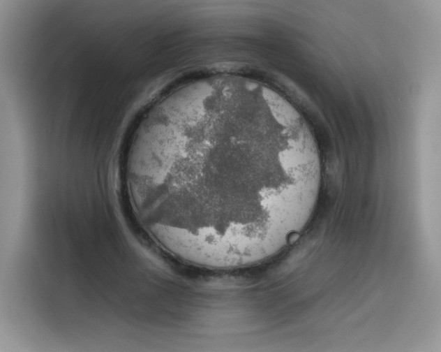 X0000113780734200910141038