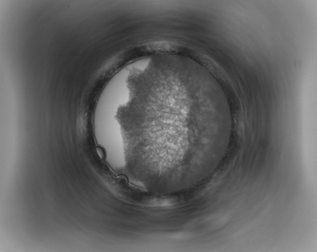 X0000113780735200910141038