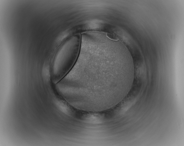 X0000113780736200910141038