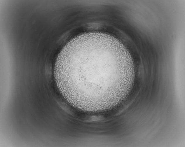 X0000113780737200910141038