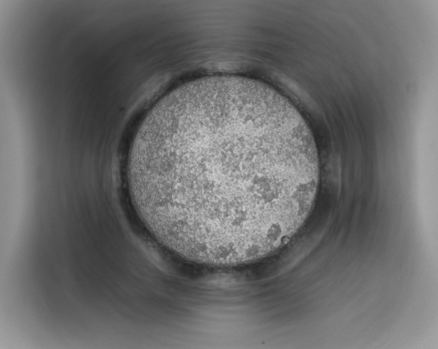 X0000113780738200910141038