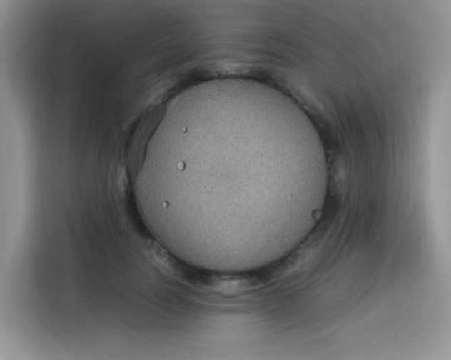 X0000113780746200910141038