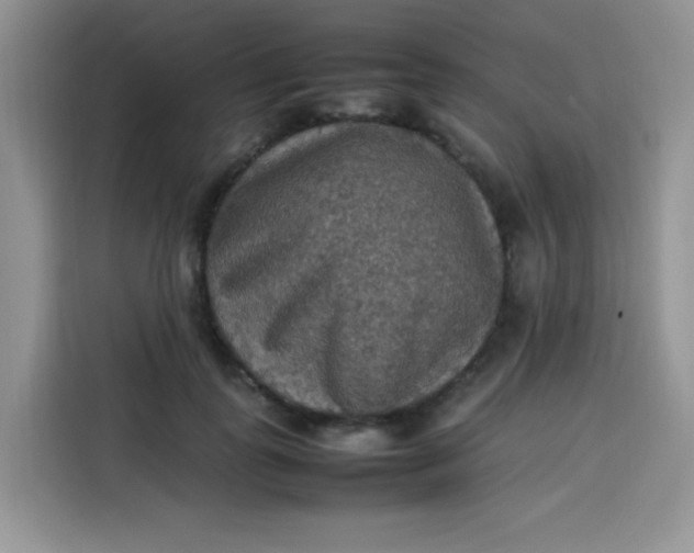 X0000113780747200910141038