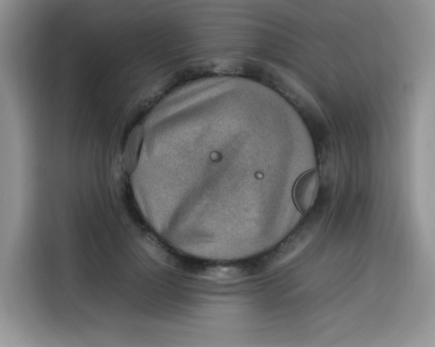 X0000113780748200910141038