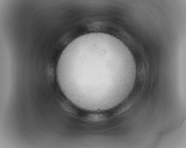 X0000113780749200910141038