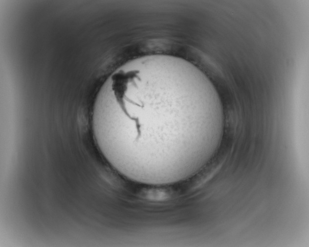 X0000113780751200910141038