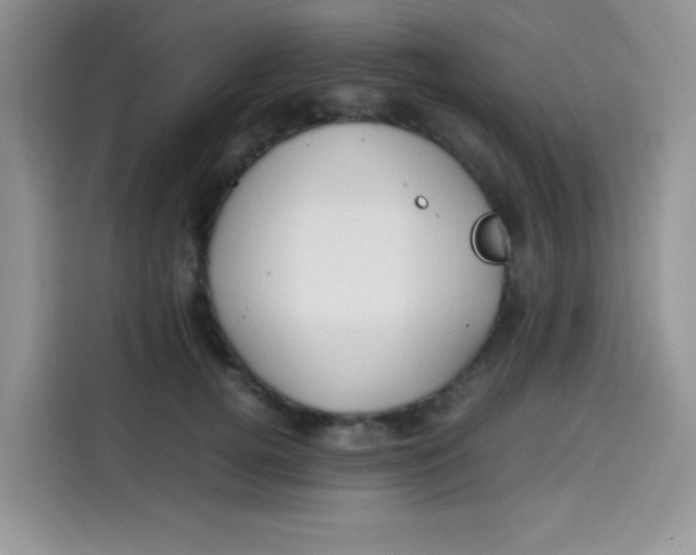 X0000113780752200910141038