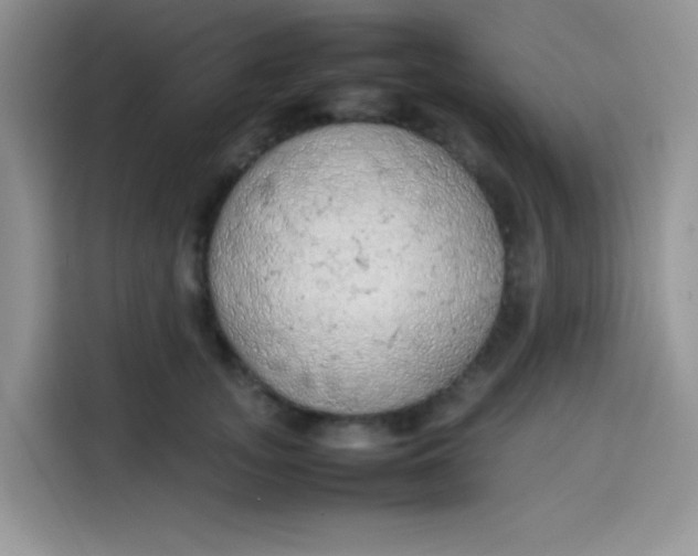 X0000113780755200910141038