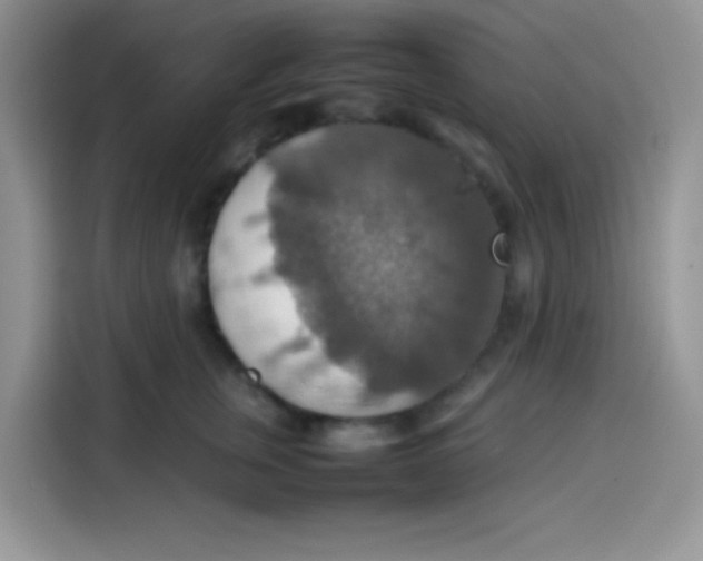 X0000113780759200910141038