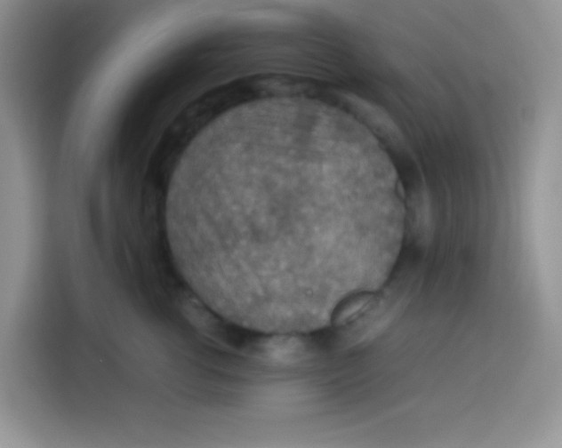 X0000113780762200910141038