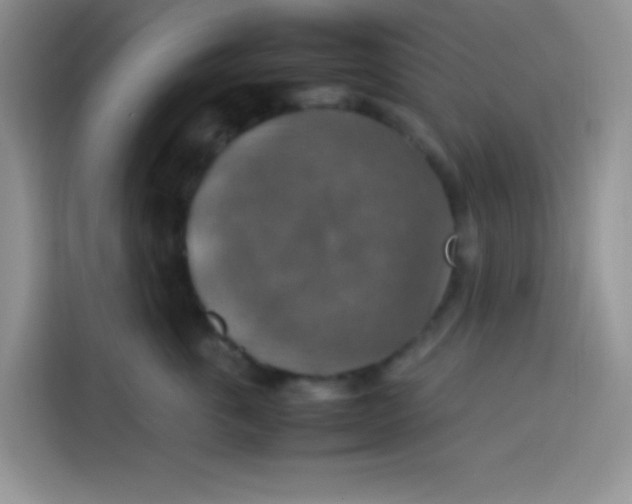 X0000113780763200910141038