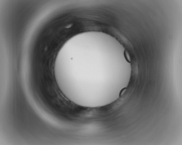 X0000113780764200910141038