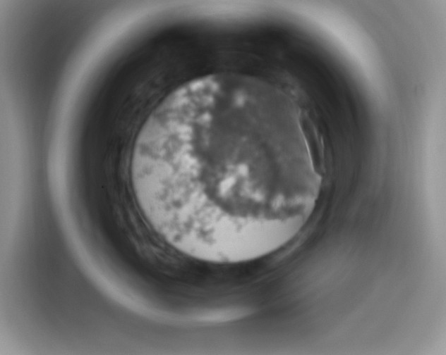 X0000113780765200910141038