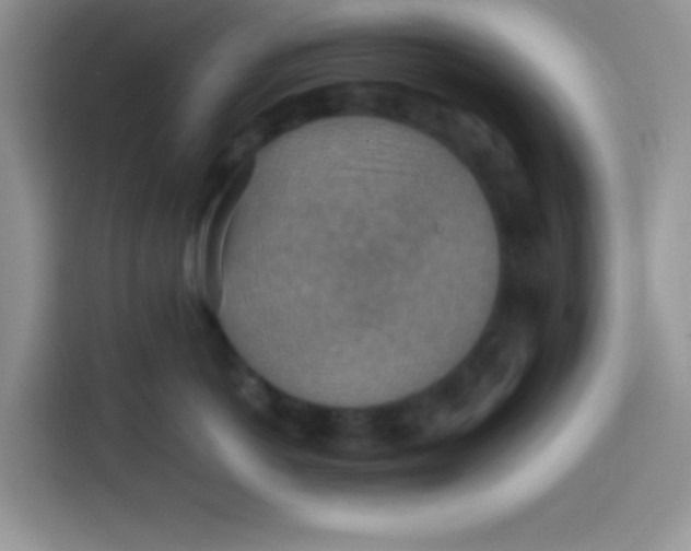 X0000113780766200910141038