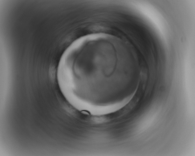 X0000113780767200910141038