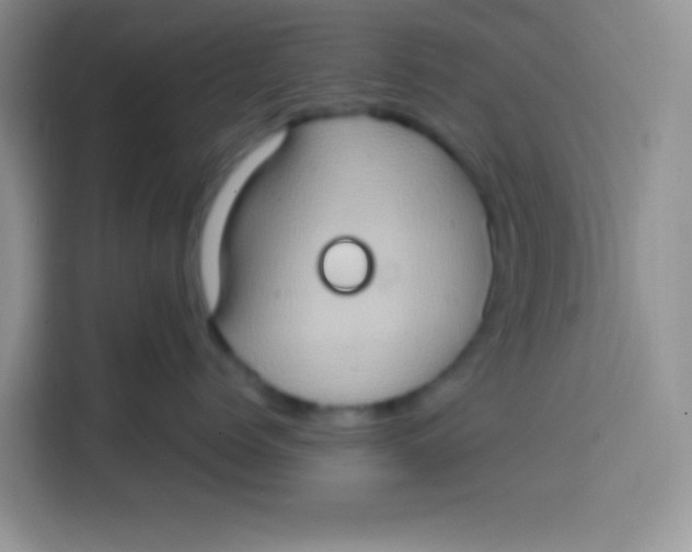 X0000113780768200910141038