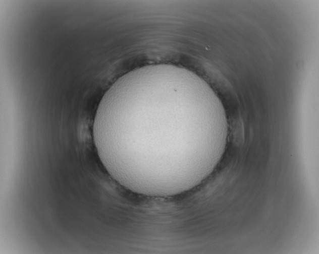 X0000113780770200910141038