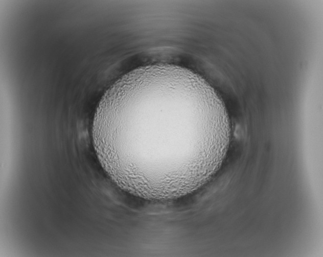 X0000113780771200910141038