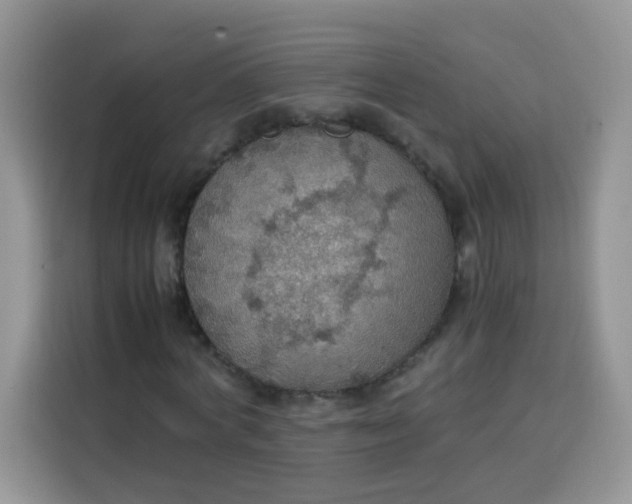 X0000113780772200910141038