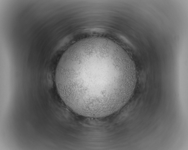 X0000113780774200910141037