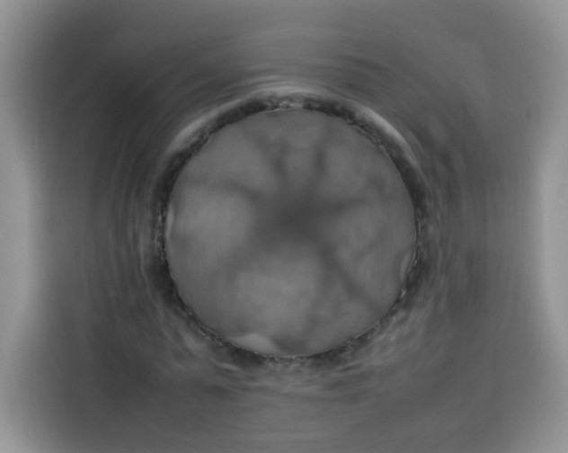 X0000113780775200910141037