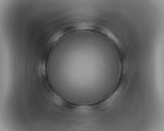 X0000113780777200910141037