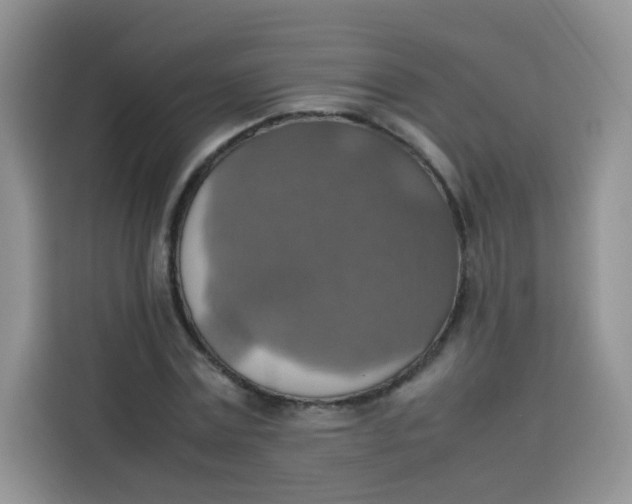 X0000113780779200910141037