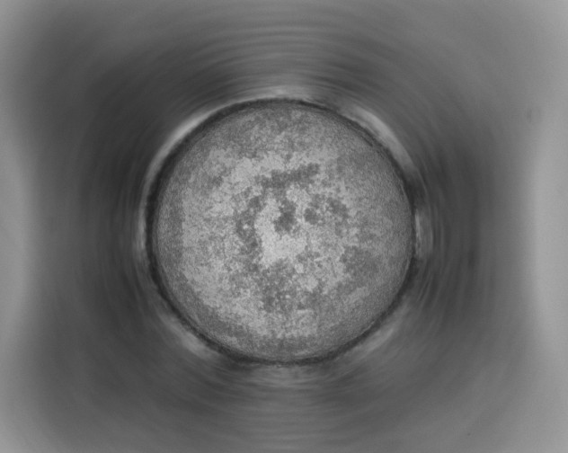 X0000113780780200910141037