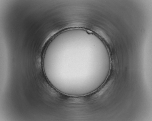 X0000113780781200910141037