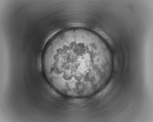 X0000113780782200910141037