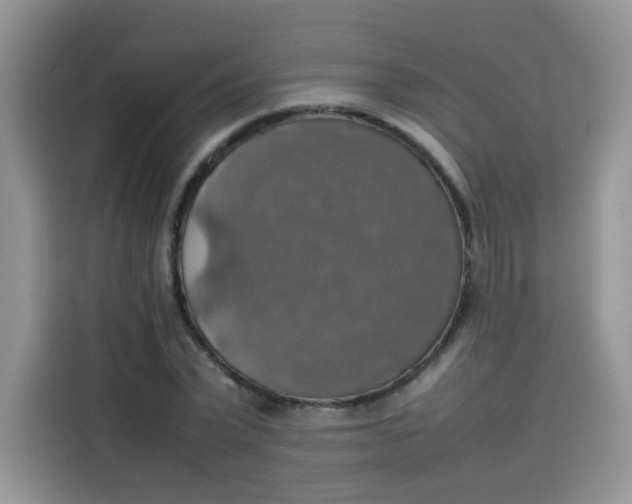 X0000113780783200910141037