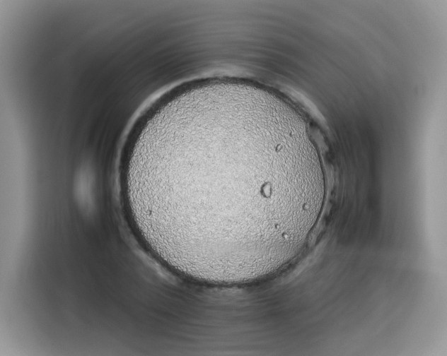 X0000113780784200910141037