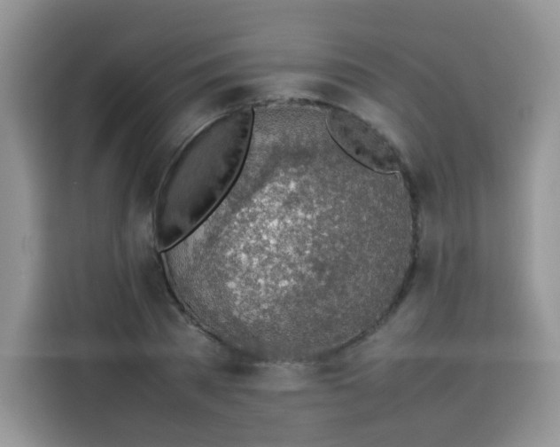 X0000113780785200910141037