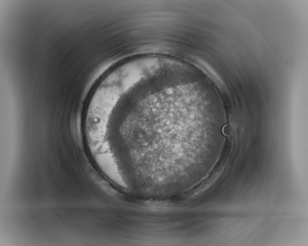 X0000113780788200910141037