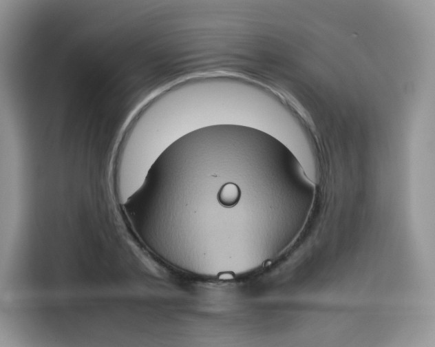 X0000113780789200910141037