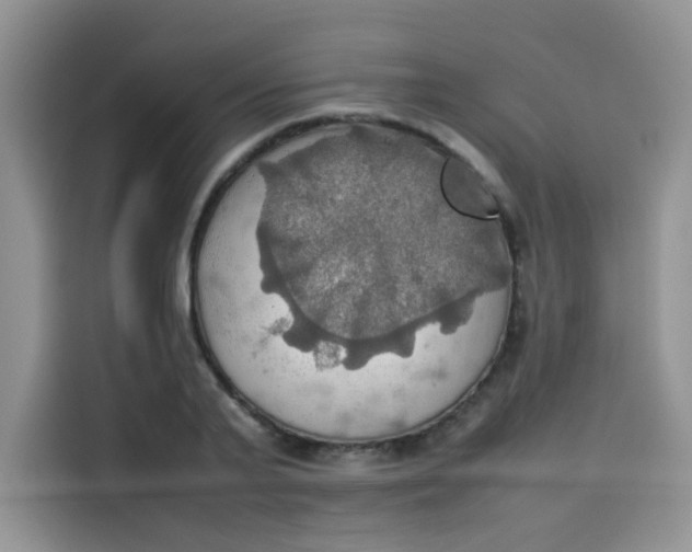 X0000113780791200910141037