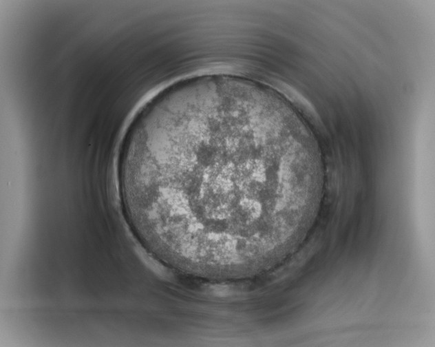 X0000113780792200910141037